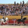 arene1